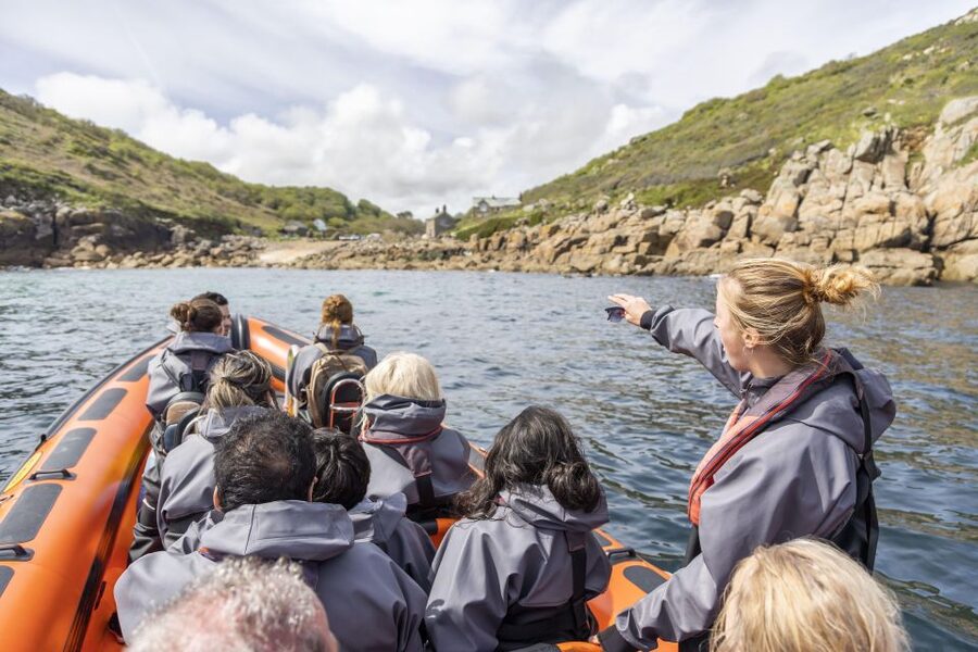 Penzance: Land's End Boat Tour with Wildlife Guides - What the $83 price really includes
