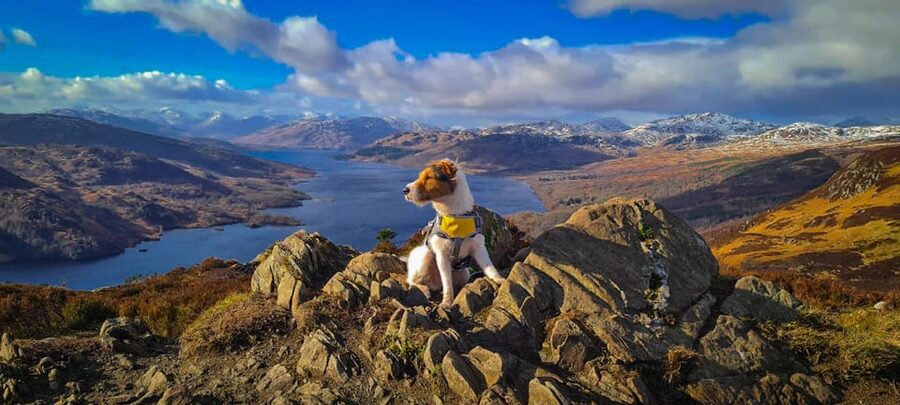 Private Tour of Highlands, Lochs & Castles from Edinburgh - Glencoe and the Three Sisters