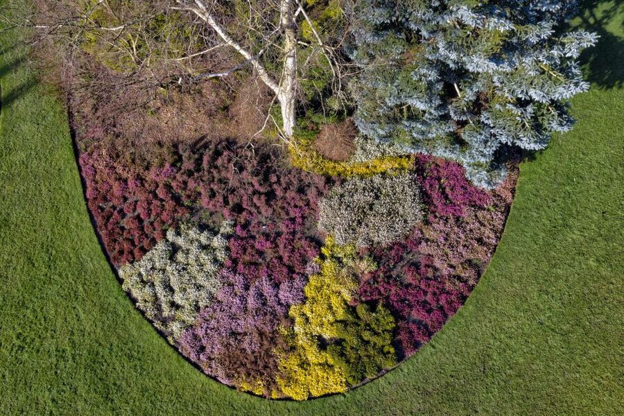 Royal Horticultural Society: Harlow Carr Garden Ticket - Queen Mother’s Lake and its redwoods