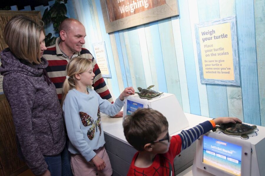 SEA LIFE Blackpool Entrance Ticket - Key points to know before you go
