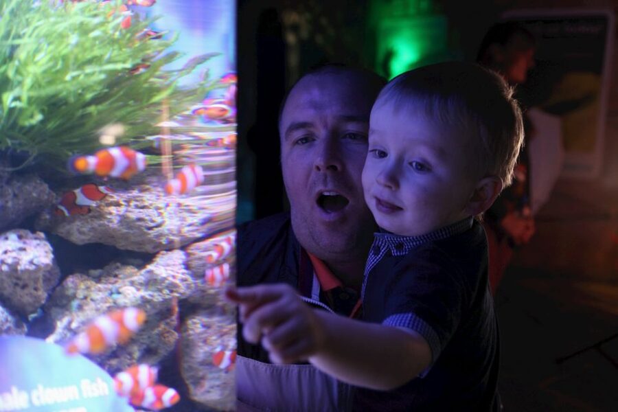 SEA LIFE Blackpool Entrance Ticket - Turtle Rescue makes conservation feel practical