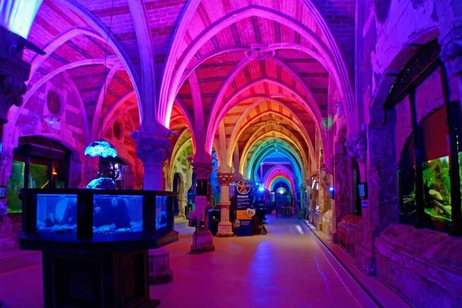 Sea Life Brighton Admission Ticket - How long you need and when to arrive