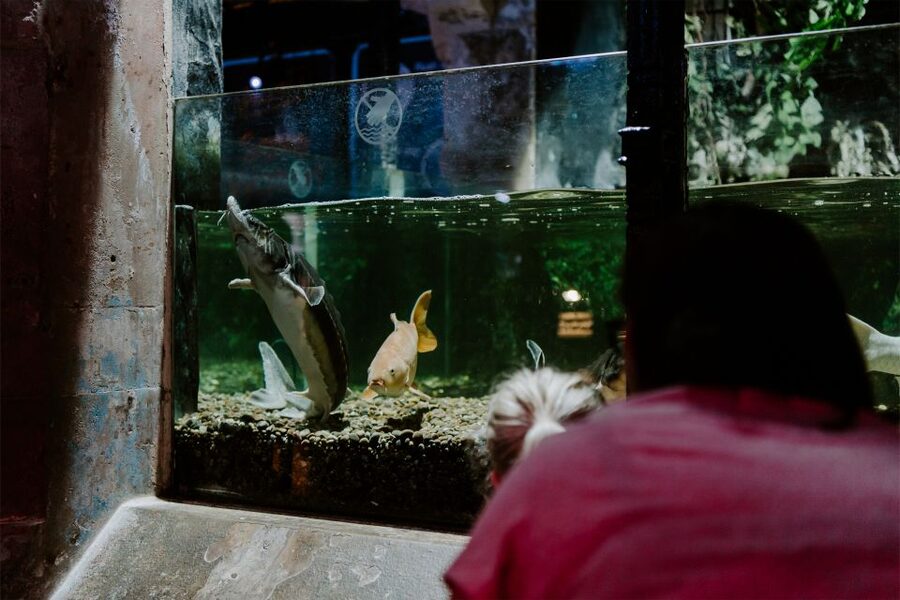 Sea Life Brighton Admission Ticket - Staff, cleanliness, and comfort