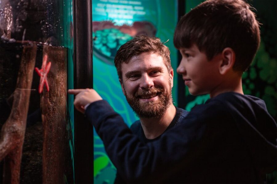 SEA LIFE London & DreamWorks Shrek's Adventure: Combo Ticket - Key points to know before booking