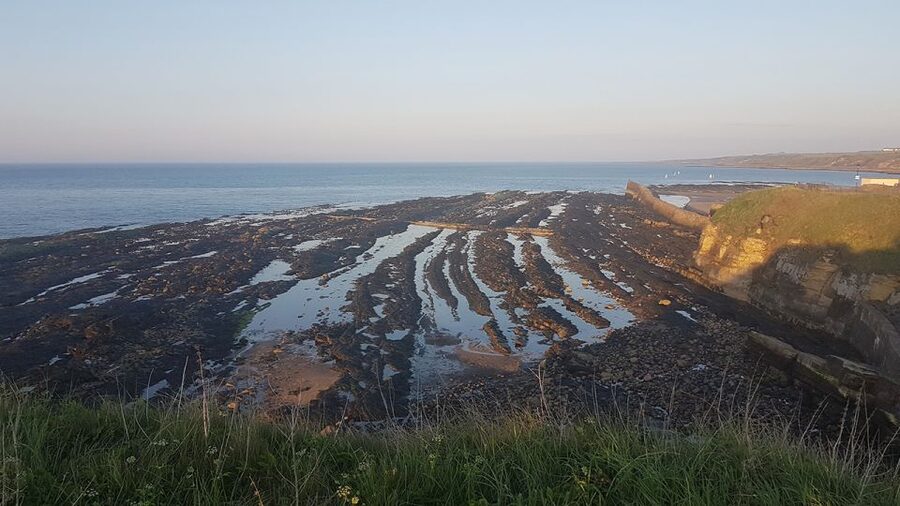 St Andrews: 90-Minute Historical Walking Tour - The unusual stories you’ll hear along the way