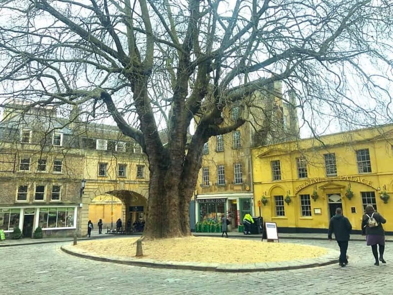 Stonehenge, Bath, Windsor and Roman Baths London Day Tours - Small details that make the day easier