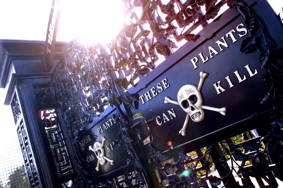 The Alnwick Garden: Entry Ticket - Look up to the wooden Treehouse Restaurant