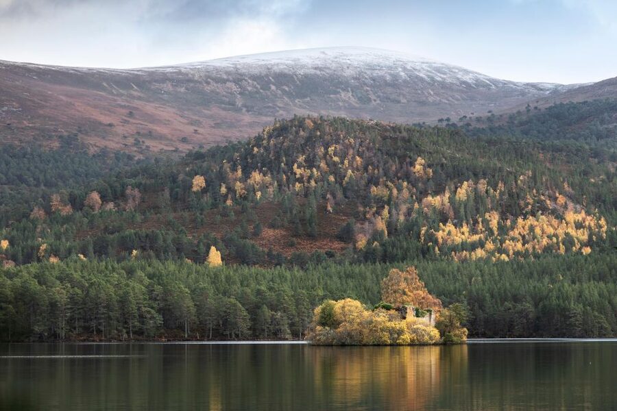 The Cairngorms, Culloden, and Speyside Whisky Tour - A full Highland day from Railway Terrace