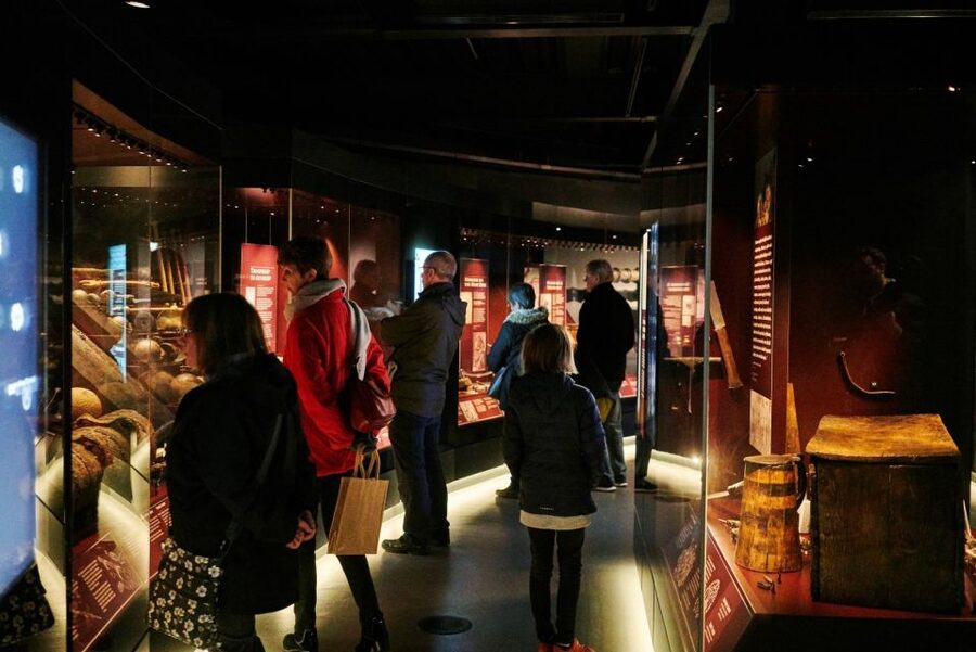 The Mary Rose: Day Admission Ticket - Reliving 19 July 1545