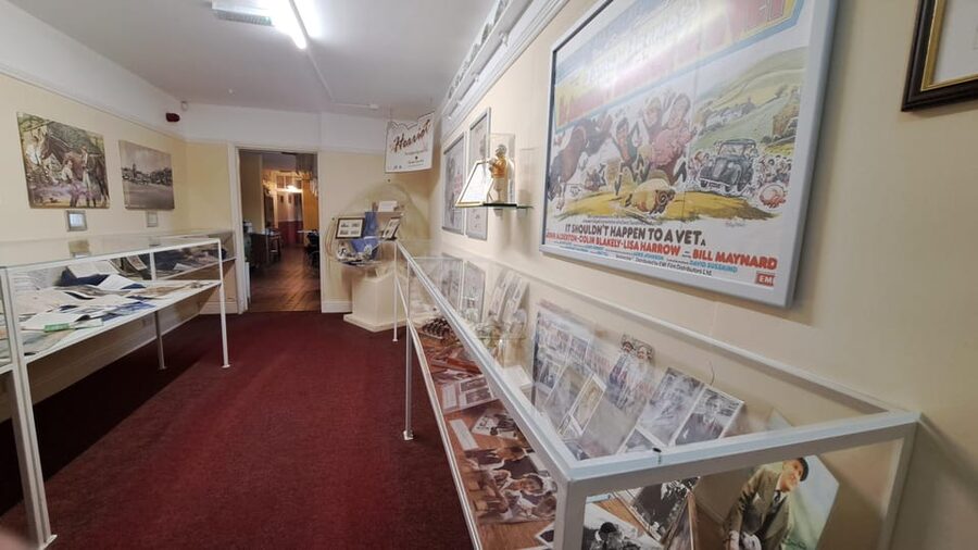Thirsk: World of James Herriot Entry Ticket - Who will enjoy it most