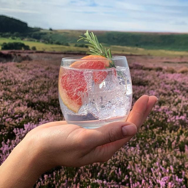 Whitby: Guided Distillery Tour with Gin Tasting - What happens during the one-hour Whitby Distillery tour