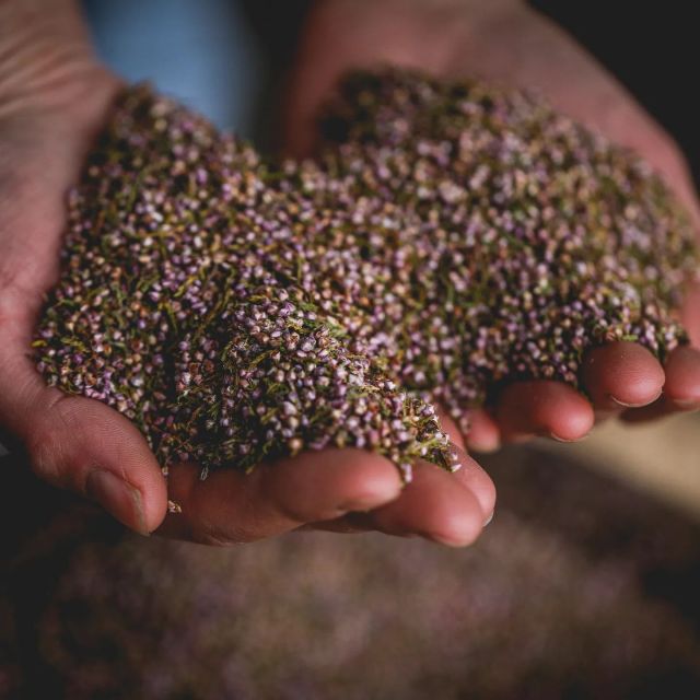 Whitby: Guided Distillery Tour with Gin Tasting - How the price compares with the experience