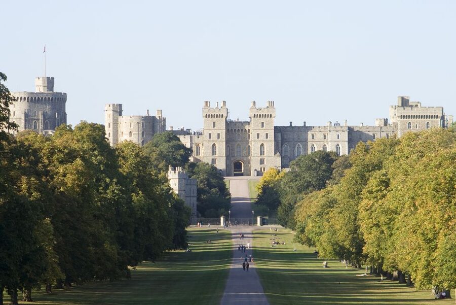 Windsor Castle Tour with Fish and Chips Lunch in London - The tour’s organization and guide arrangements