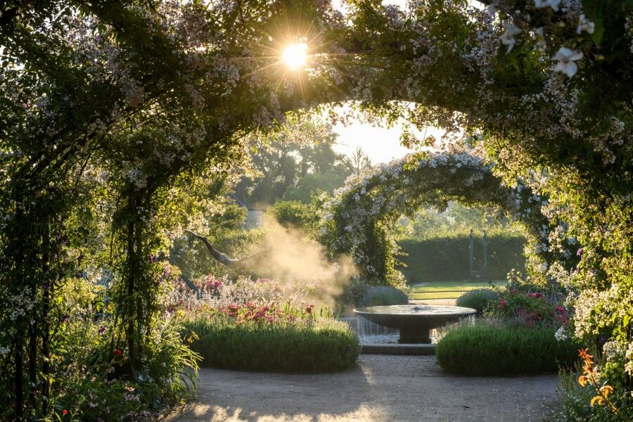 Woking: Royal Horticultural Society Wisley Garden Ticket - The Bowes-Lyon Rose Garden is the scent stop