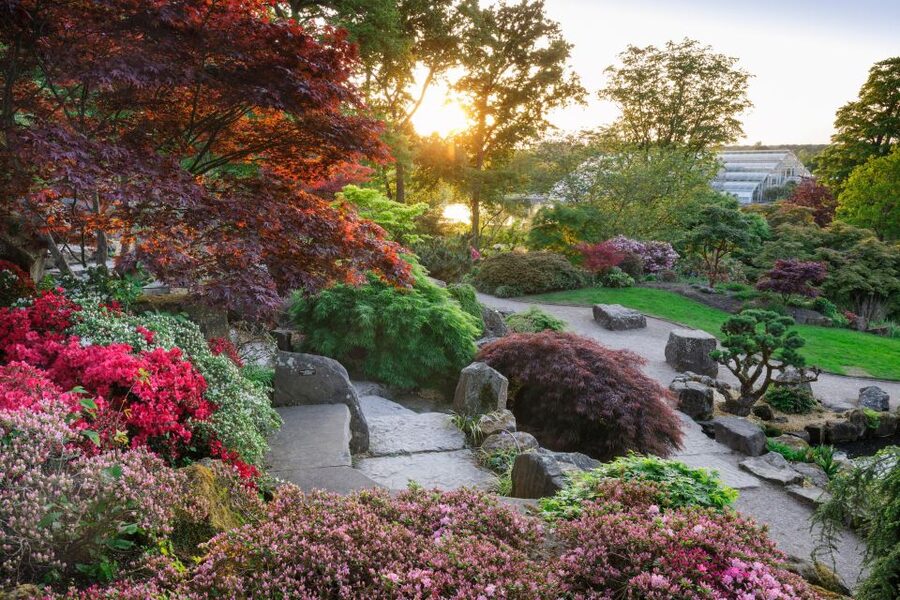 Woking: Royal Horticultural Society Wisley Garden Ticket - Getting there from Woking