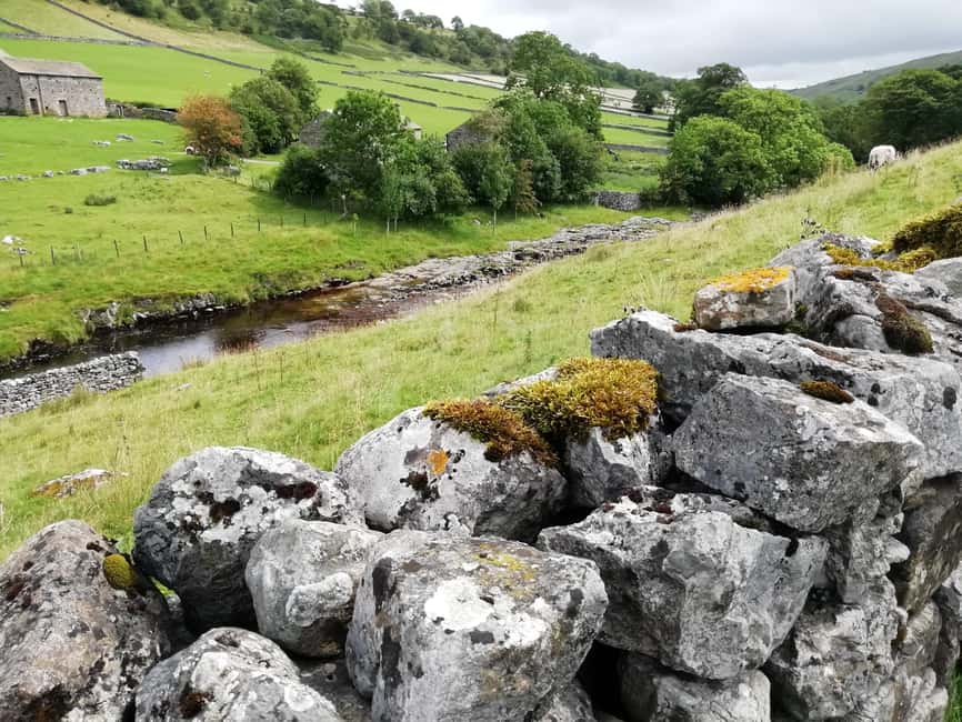York: "All Creatures Great and Small" Yorkshire Dales Tour - Following Darrowby from York into the Dales